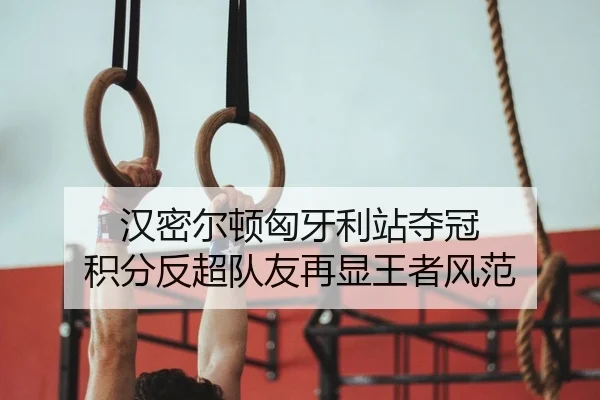 han-mi-er-dun-xiong-ya-li-zhan-duo-guan-ji-fen-fan-chao-dui-you-zai-xian-wang-zhe-feng-fan-2-229.jpg